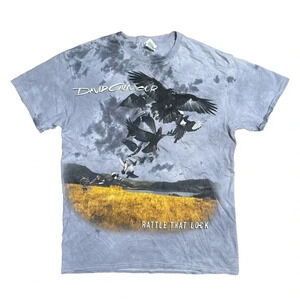 David Gilmour Pink Floyd Rattle That Lock 2016 Tie Dye Gray T Shirt  Mens Medium